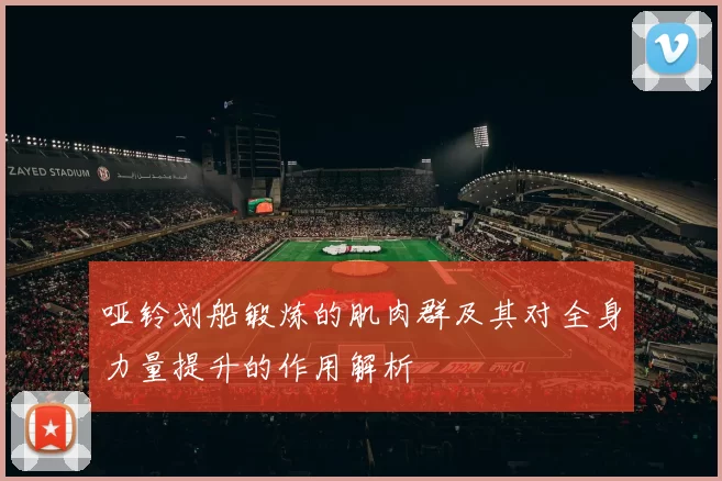 哑铃划船锻炼的肌肉群及其对全身力量提升的作用解析