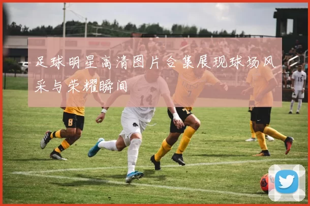 足球明星高清图片合集展现球场风采与荣耀瞬间